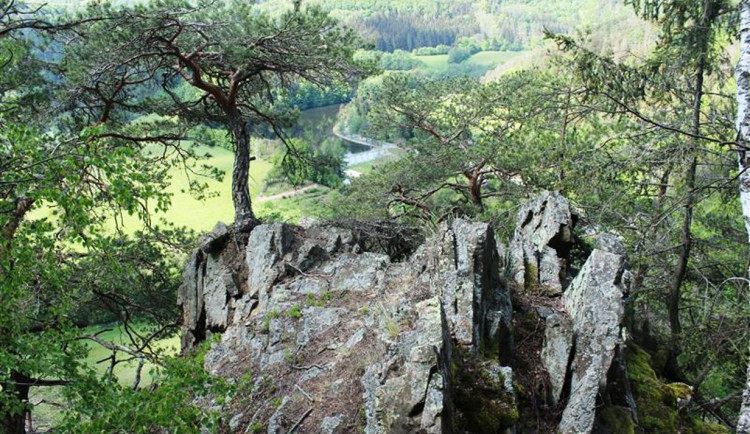 Hraběcí stolek a Frejlach: Vysočina má dvě nová chráněná území