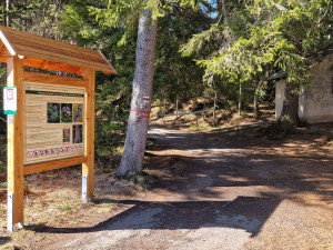 Stezka u Černého jezera se na čas uzavře. Lesníci odstraní nebezpečné souše po kůrovci