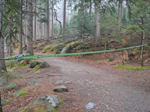 Stezka u Černého jezera se na čas uzavře. Lesníci odstraní nebezpečné souše po kůrovci