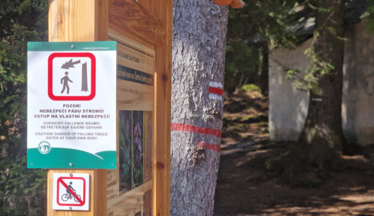 Stezka u Černého jezera se na čas uzavře. Lesníci odstraní nebezpečné souše po kůrovci