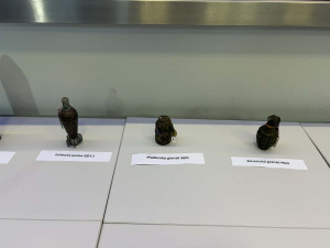 Puma u Vltavy i japonská střela. Podívejte se, jakou munici na jihu Čech řešili pyrotechnici