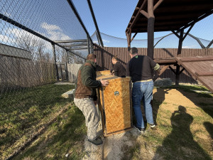 Hlasitý řev šelem upozornil na nelegální chov v rodinném domě