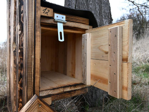 Nové budky pro dudky chocholaté. Ohrožený pták má na Písecku nové příbytky