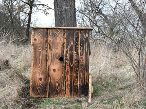 Nové budky pro dudky chocholaté. Ohrožený pták má na Písecku nové příbytky