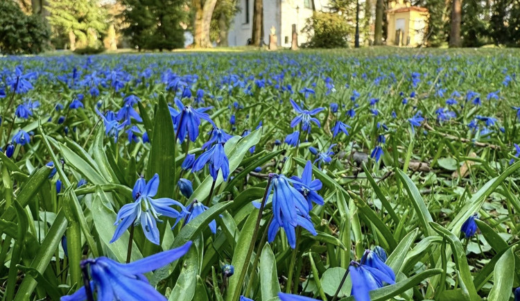 Začíná astronomické jaro, odpoledne nastane jarní rovnodennost