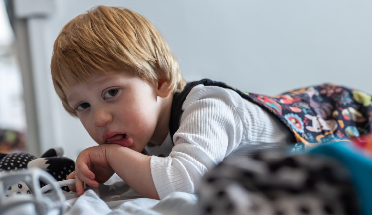 Tříletému Damiánovi z Liberecka pomohla sbírka Lidlu. Lidé v Liberci do ní darovali 63 tisíc