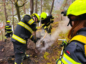 K lesnímu požáru přiváděla vodu 340 metrů dlouhá hadice. Podobných případů přibývá