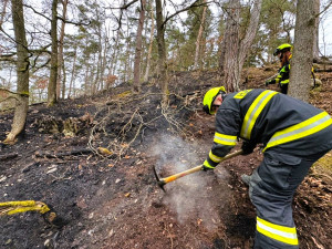 K lesnímu požáru přiváděla vodu 340 metrů dlouhá hadice. Podobných případů přibývá