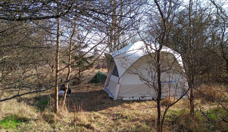 Volně pobíhající psi a výkaly. Strážníci v Táboře řešili stížnosti na kemp bezdomovců