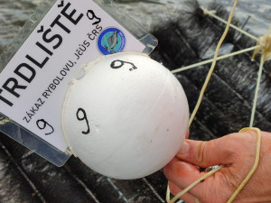 Hnízda z kominických štětek slaví úspěch. Candáti na Lipně je obsazují ve velkém