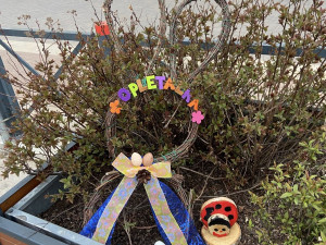 Budějovice mají novou velikonoční výzdobu. Zajíčky i kraslice letos vyrobily děti