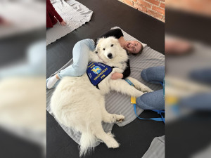 Canisterapie pomáhá zlepšovat psychickou i fyzickou pohodu klientů