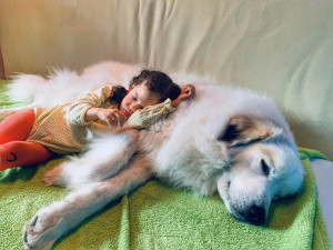 Canisterapie pomáhá zlepšovat psychickou i fyzickou pohodu klientů