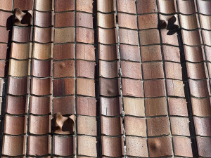 Budějcký Prior oslavil padesát let. Brutalistní dominanta Lannovky dodnes budí emoce