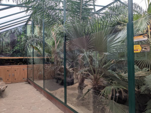 V Zoo Dvorec přibyl téměř čtyřmetrový krokodýl. Samice dorazila od Karlose Vémoly