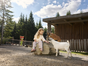 Zažijte slavnostní otevření Království lesa na Lipně v pohádkovém duchu