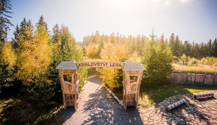 Zažijte slavnostní otevření Království lesa na Lipně v pohádkovém duchu