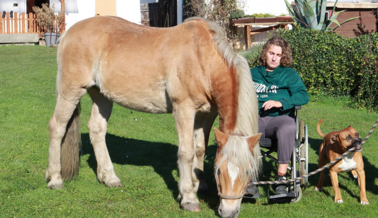 Kája nešťastně spadla z koně a ochrnula, pomoci se jí snaží divadelní ochotníci
