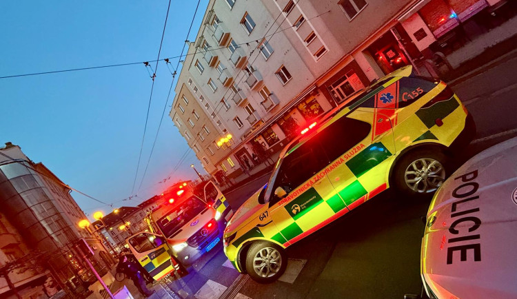 Muž zachraňoval z římsy svého domácího mazlíčka. Spadl a musel do nemocnice