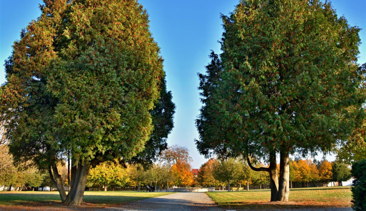 Ve Vyškově pokračuje obnova zámecké zahrady. Hotovou si ji návštěvníci užijí už v létě