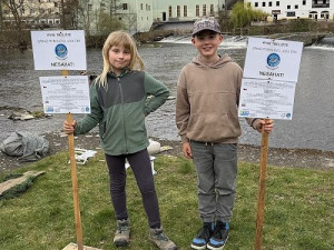 Kormoráni vzali Otavu útokem. Písek řeší úbytek ryb plovoucím trdlištěm