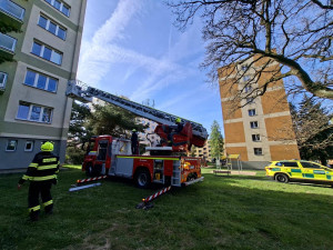 Po schodech to nešlo, tak ho vzali oknem. Pacienta snesli hasiči za pomoci žebříku
