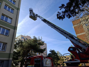 Po schodech to nešlo, tak ho vzali oknem. Pacienta snesli hasiči za pomoci žebříku