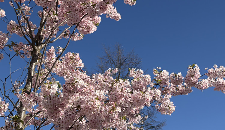 Ráno mrazíky, odpoledne přes dvacet. Jižní Čechy čeká slunečné počasí