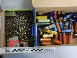Jihočeské pyrotechniky zaměstnávají nálezy munice, naposledy v lese u Trhových Svinů
