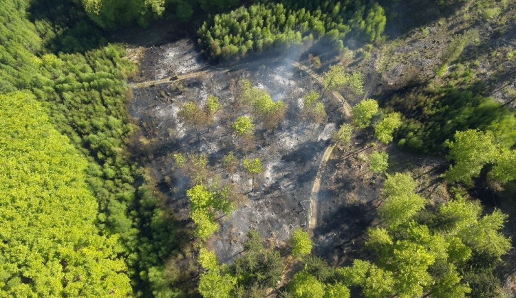U Andělské Hory hoří les. Na místě je 15 hasičských jednotek, situaci monitoruje dron