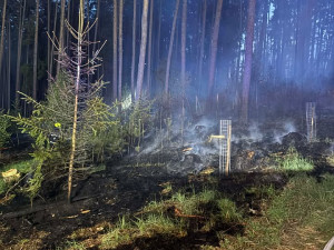 U Chrášťan hoří dva hektary lesa, hasiči vyhlásili druhý stupeň poplachu