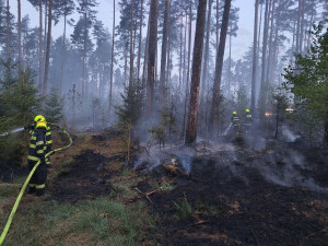 U Chrášťan hoří dva hektary lesa, hasiči vyhlásili druhý stupeň poplachu