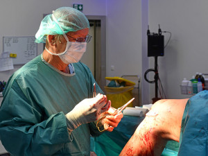České Budějovice objektivem Milana Bindera a perem Martina Maršíka: Vše nejlepší pane doktore