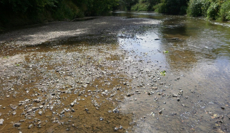 Na řadě jihočeských řek je sucho, situace je podle hydrologů nejhorší v ČR