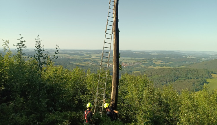Paraglidista uvízl na stromě v nepřístupném terénu. Hasiči ho zachraňovali dvě hodiny