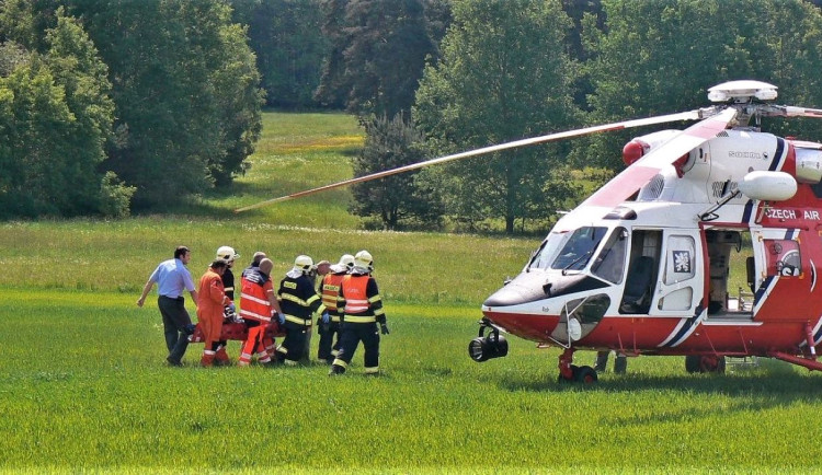 Ženu při procházce v lese zavalil jeden ze stromů, které vyvrátila silná vichřice