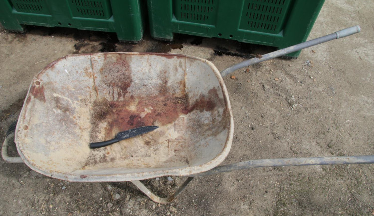 Policie dopadla zloděje, kteří na farmě u Týna nad Vltavou zabili a ukradli několik prasat