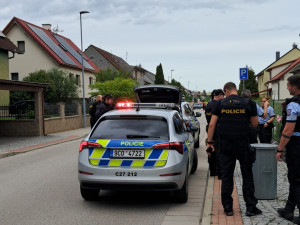 Policie ve Strakonicích zadržela ozbrojeného muže. Měl vzduchovku a střílet po kočce