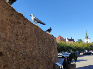 Festival Umění ve městě představí ve veřejném prostoru na jihu Čech 14 autorů