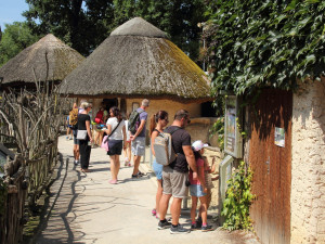 Konec syslů v Čechách? Unikátní akce v Zoo Hluboká představí ohrožené druhy