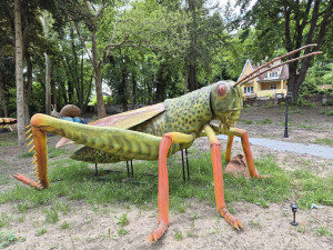 V Chlumu otevřel kontroverzní Svět Obrů. Ulice zaplnila auta, internet falešné recenze
