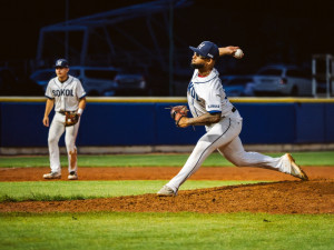 Česko-japonský víkend na Hluboké nabídne baseball, japonskou kulturu i Folk Fest