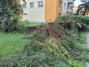 Vyvrácená stromořadí a poničené silnice. V Písku řeší následky víkendových bouří