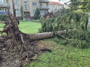 Vyvrácená stromořadí a poničené silnice. V Písku řeší následky víkendových bouří