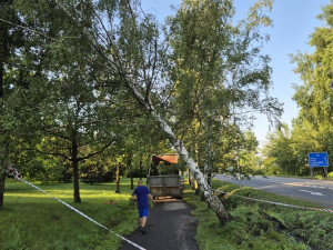 Vyvrácená stromořadí a poničené silnice. V Písku řeší následky víkendových bouří