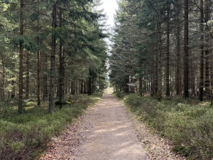Kolem Lipna vzniká nová poutní cesta. Veřejnost může podpořit její dokončení