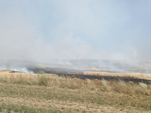 Požár pole na Strakonicku zaměstnal několik jednotek hasičů