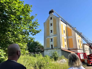 V tropickém vedru okroužkovali čapí mláďata. Pro Černou v Pošumaví šlo o premiéru