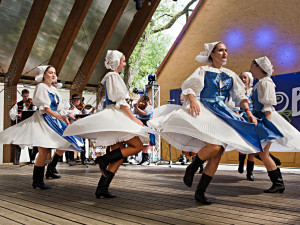 Borůvkobraní slaví 20 let. Borovany zaplaví borůvkové dobroty i hudba