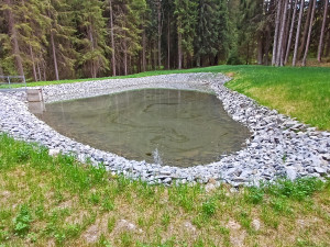 Šumavská obec vrátila život starým rybníkům. Hartmanice mají v lese nový výletní cíl